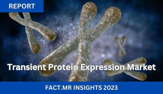 Transient Protein Expression